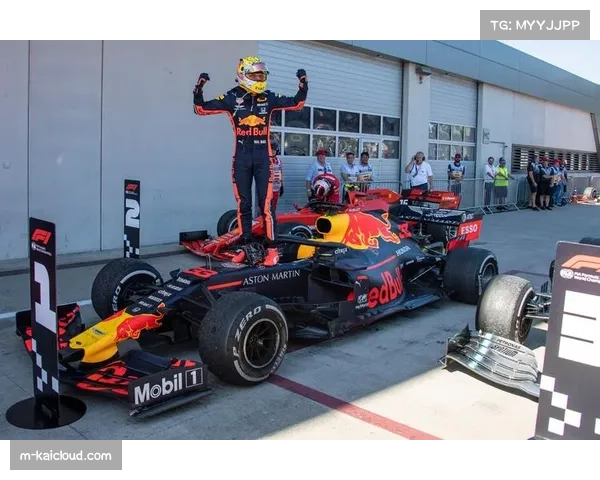 日本大奖赛维斯塔潘杆位夺冠 迈凯伦车队赛后总结轮胎策略